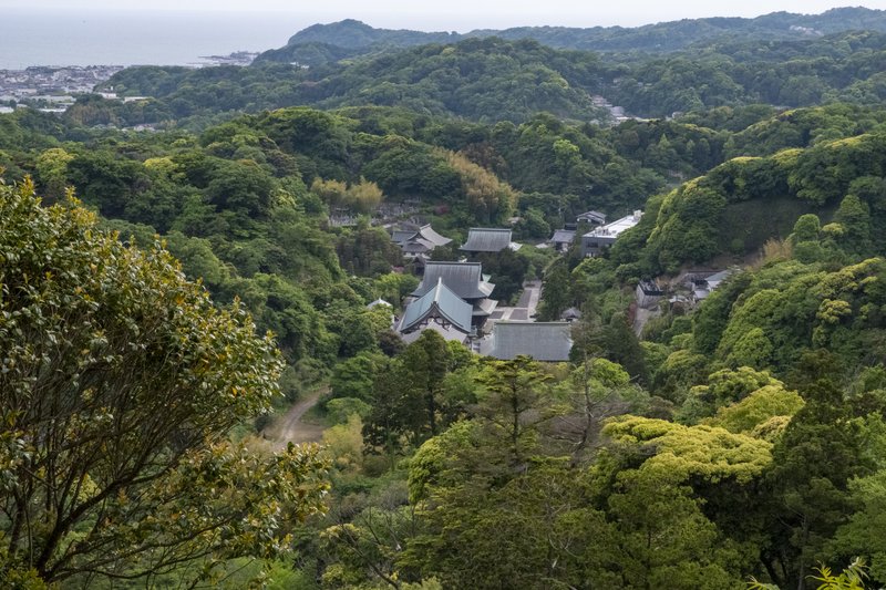 勝上巘から望む建長寺境内（2022-05-06）