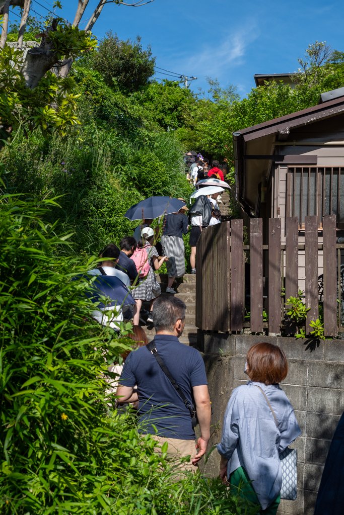 銭洗弁財天宇賀福神社表参道（2023-05-03）