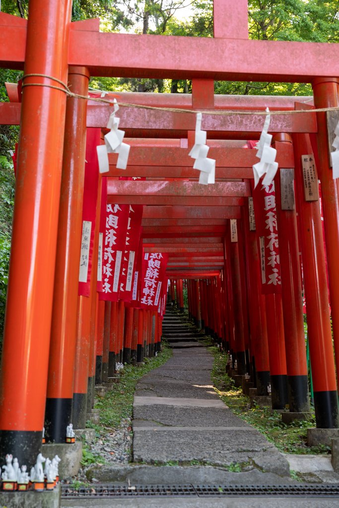 佐助稲荷神社（2023-05-03）