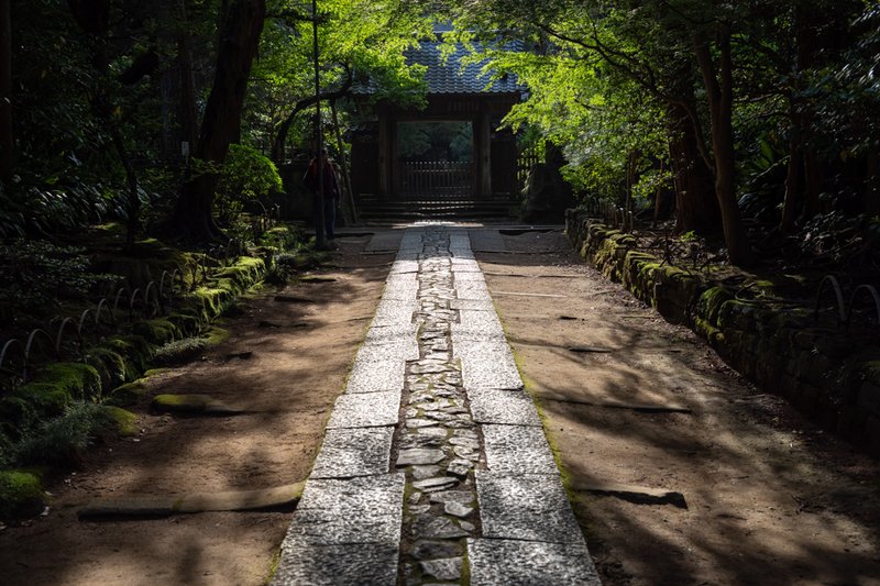 寿福寺参道（2023-05-03）