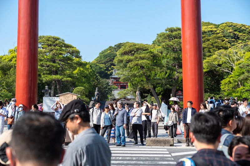 鶴岡八幡宮（三の鳥居と本宮: 2023-05-04）