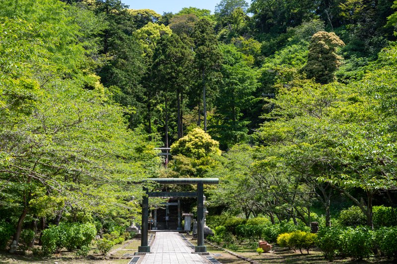 建長寺半僧坊へ至る参道（2023-05-05）