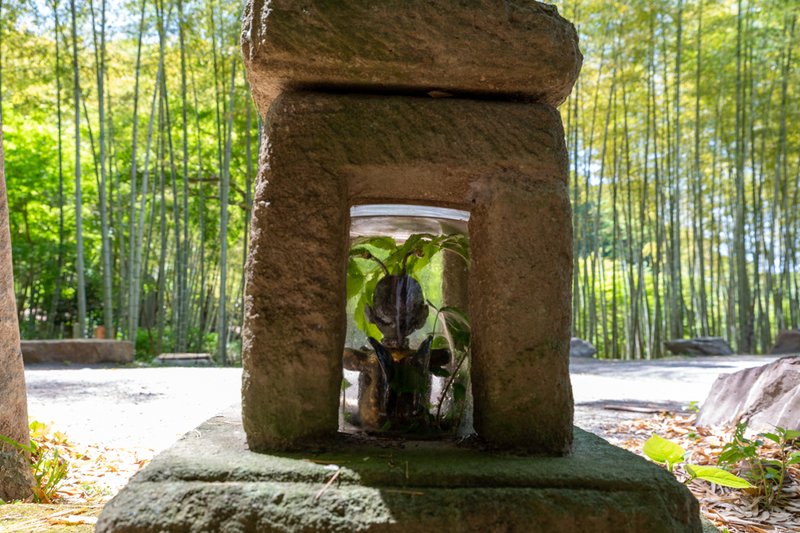 建長寺「虫塚」1（2023-05-05）