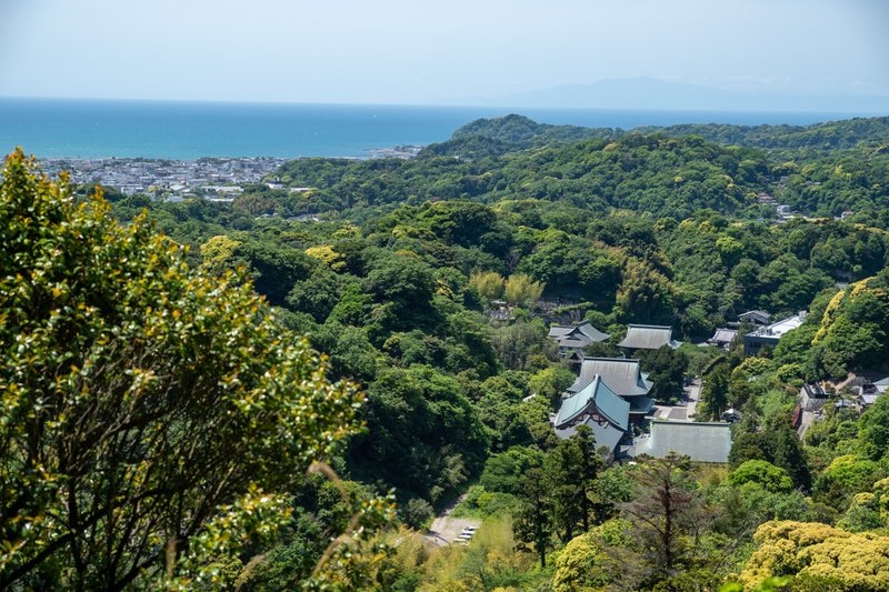 勝上巘から見下ろす建長寺境内（2023-05-05）