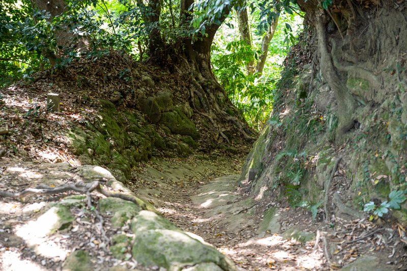 天園ハイキングコースから覚園寺手前庚申塔へ至る途上の切通（2023-05-05）