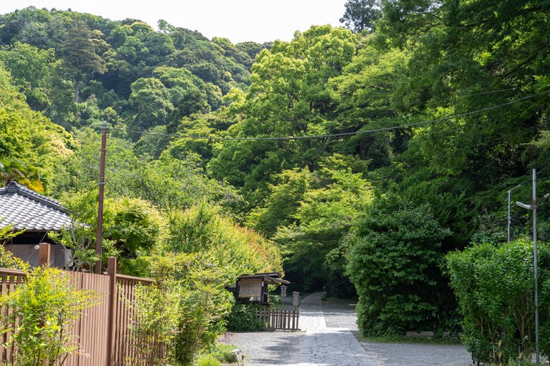 瑞泉寺境内前（2023-05-05）