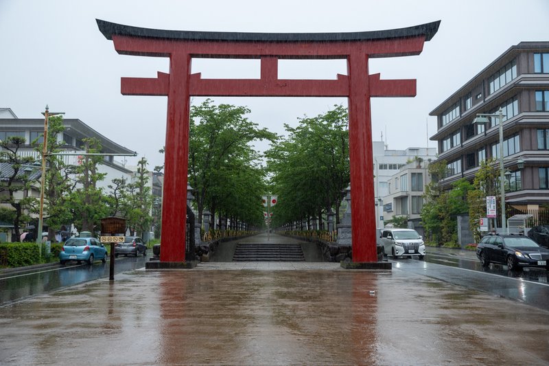 鶴岡八幡宮（2023-05-07）