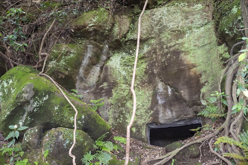 天園ハイキングコース 瑞泉寺裏山やぐら群 3（2022-05-06）