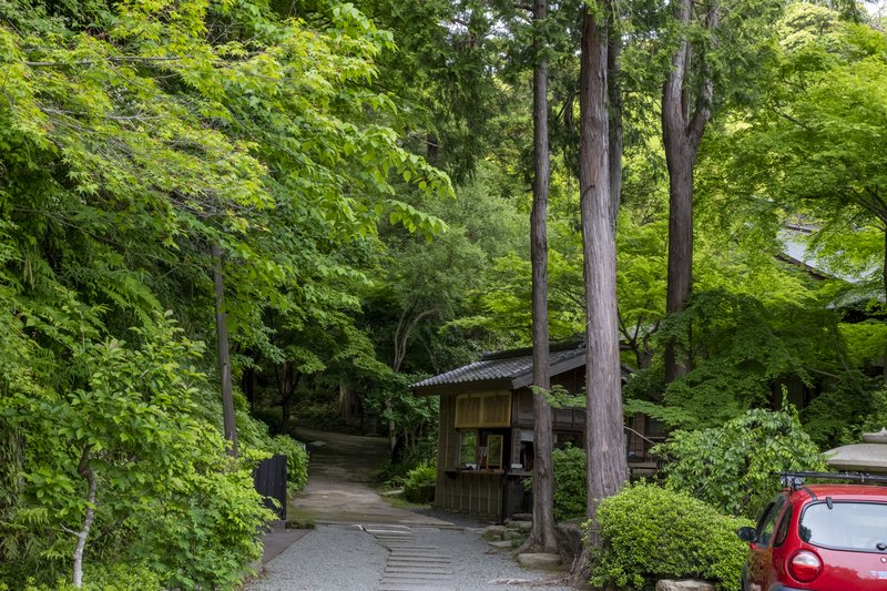 覚園寺境内を望む（2022-05-06）